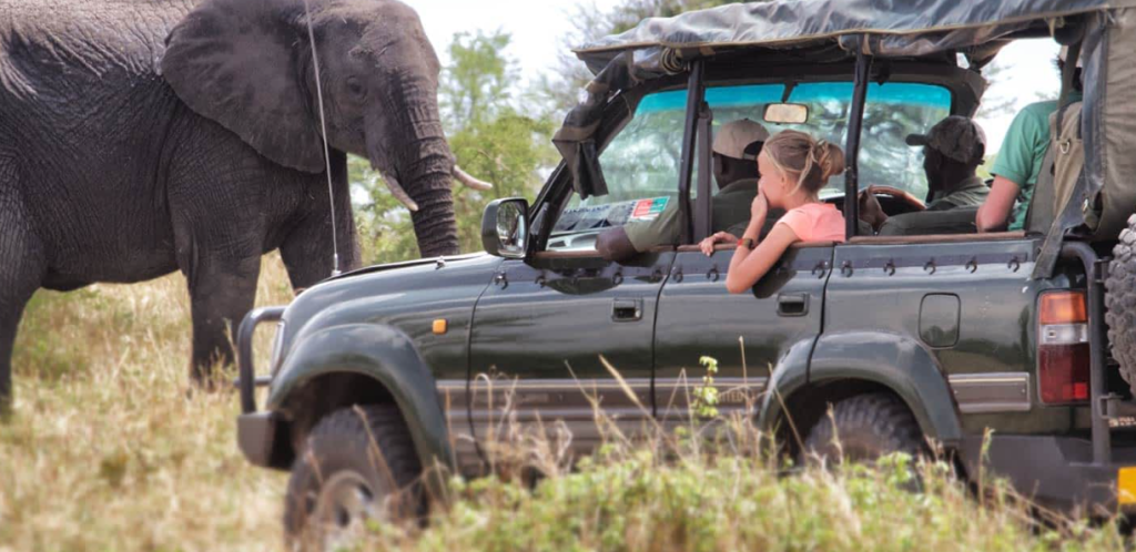 Serengeti safaris