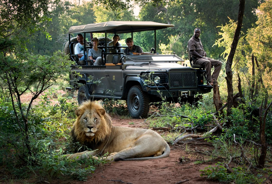 African safari vacation