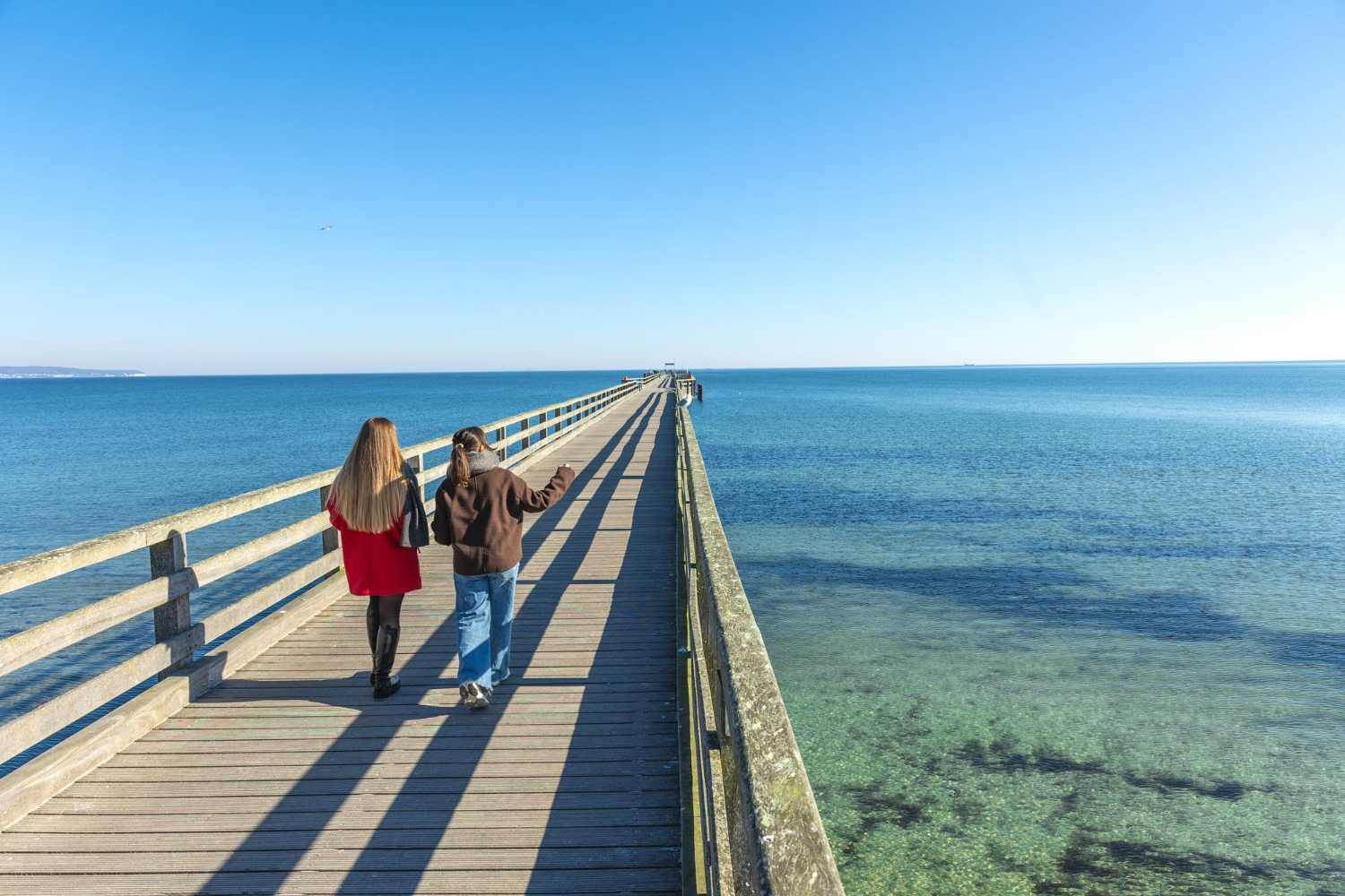 Wyndham Reef Resort Stingray City Tour