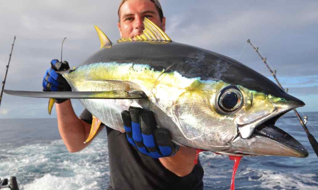 fishing in mauritius